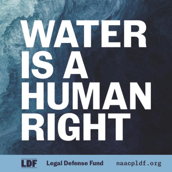 November 2023 The Color of Water: Strategies to Address Water Crises in Black Communities